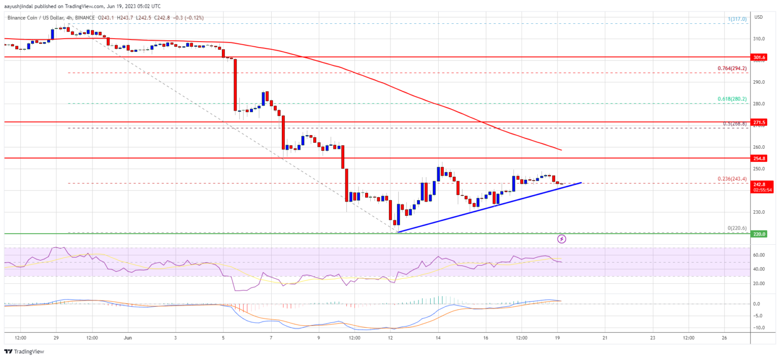 New increase possible above 100 SMA