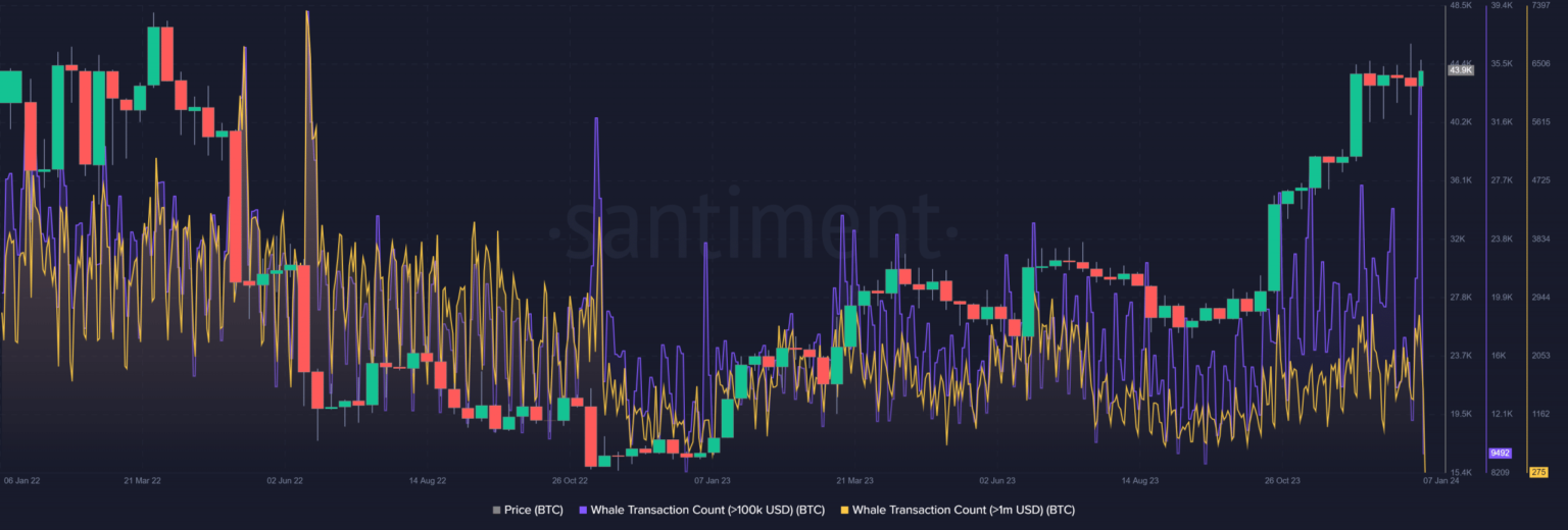 Bitcoin: Rising Transactions Cause Speculation, More Inside