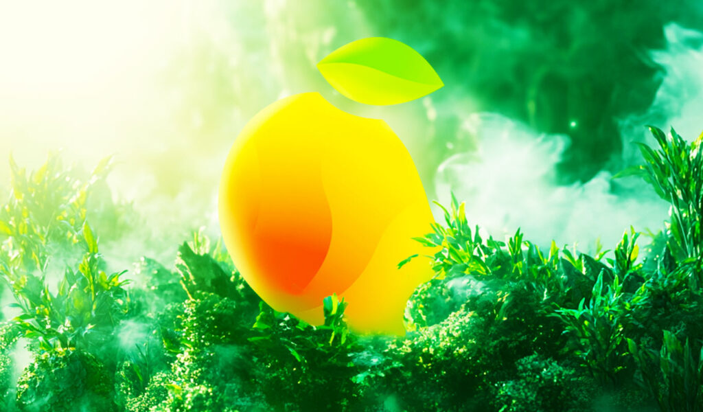 Solana-based DeFi platform Mango Markets drafts proposed settlement terms with SEC