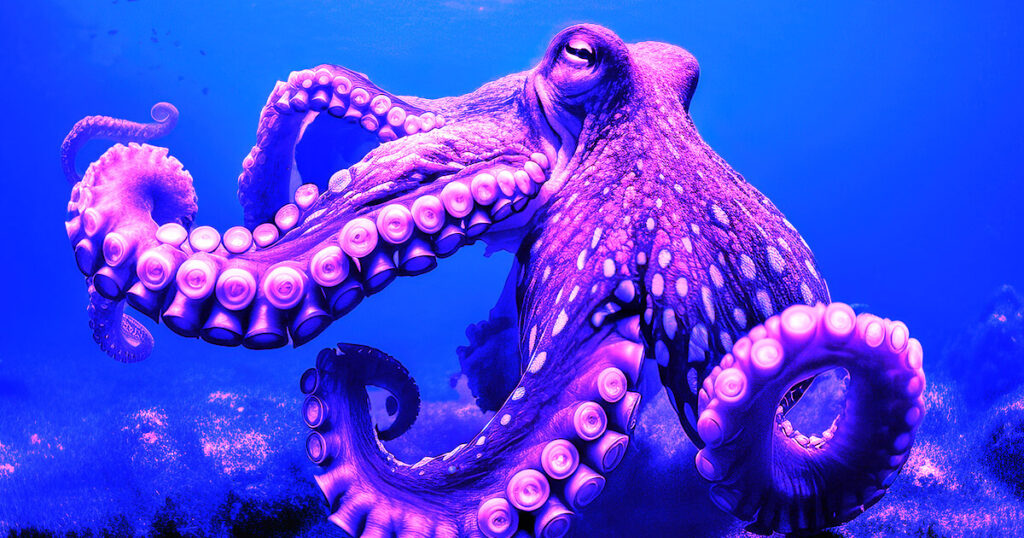 Kraken secures Mifid license to offer derivatives in the EU
