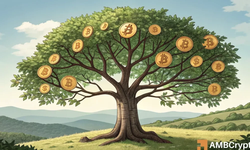 Bitcoin: Here are the instructions for what is outside of BTC ATH; First search for …