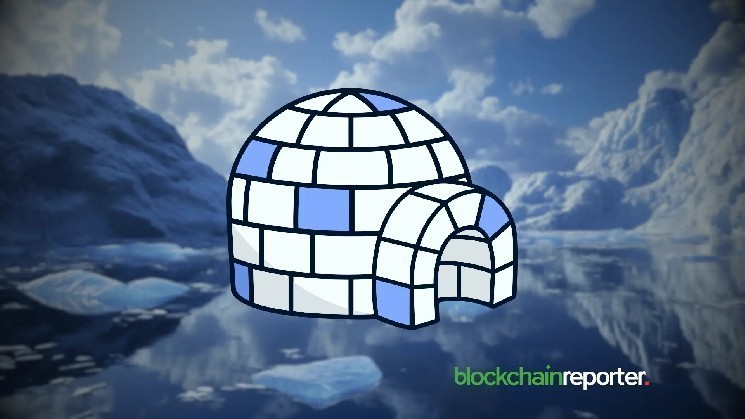 PENGU and APE dominate NFT social engagement as community activity indicates market strength