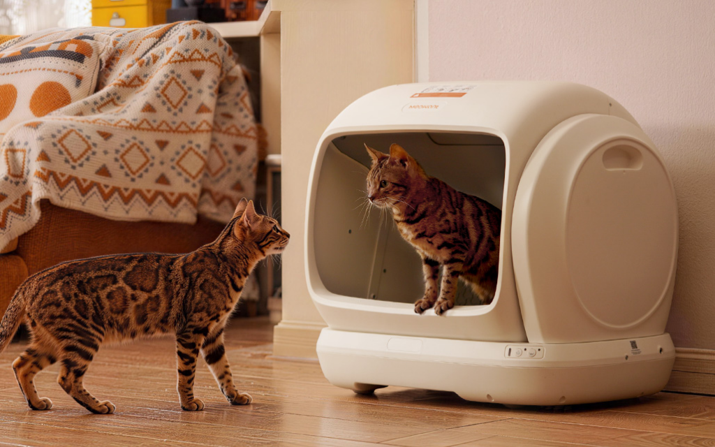 Meowant introduces MW-SC09 self-cleaning litter box for larger cats and multi-cat homes