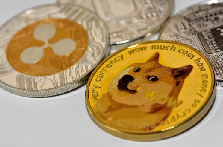 Dogecoin Notes That Shibes Have Been ‘Quiet’ Lately and Then the Internet Showed What Everyone Has Been Silently Building